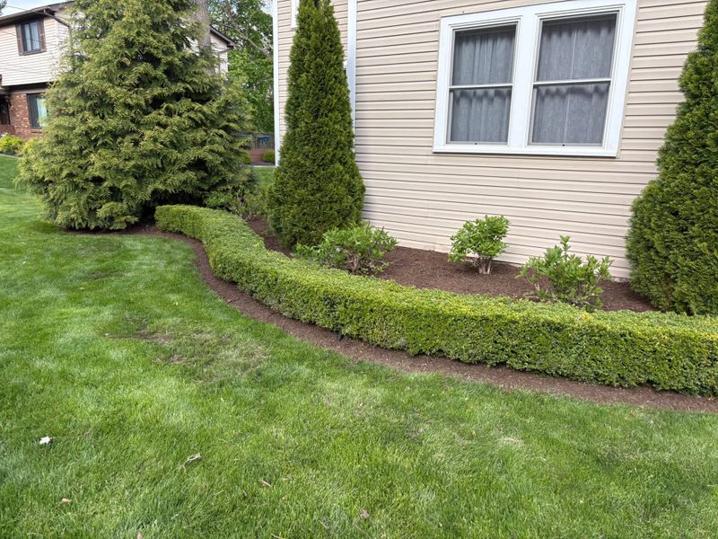 Garden Beds
