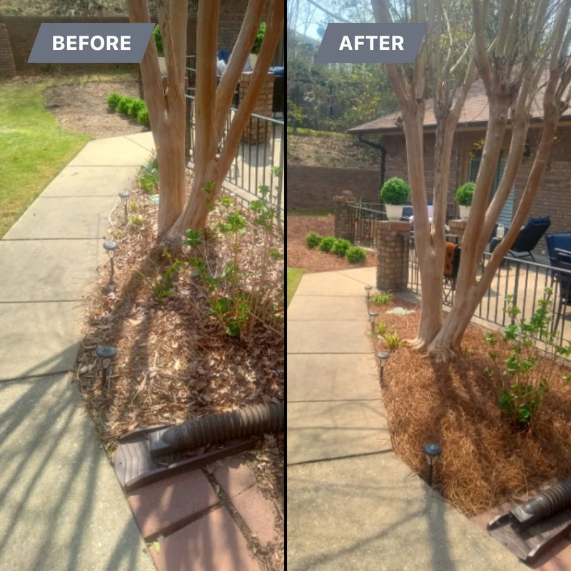 Landscape Design