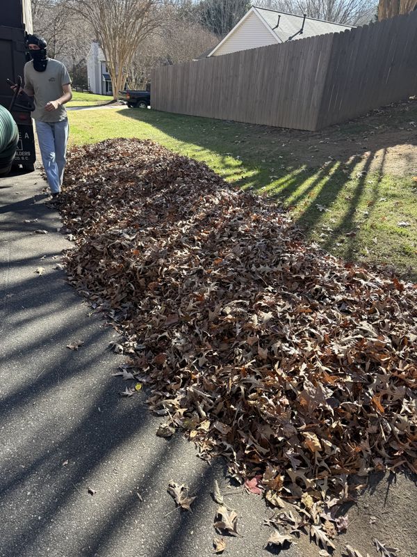 Street Side Leaf Pickup