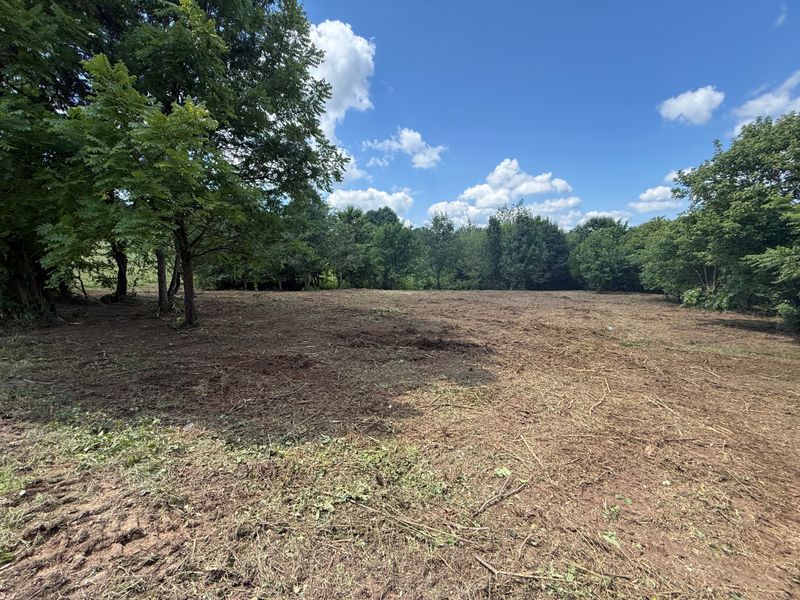 Land Clearing