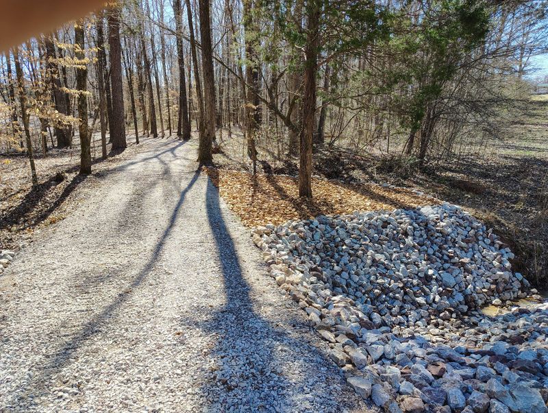 Land Clearing gallery