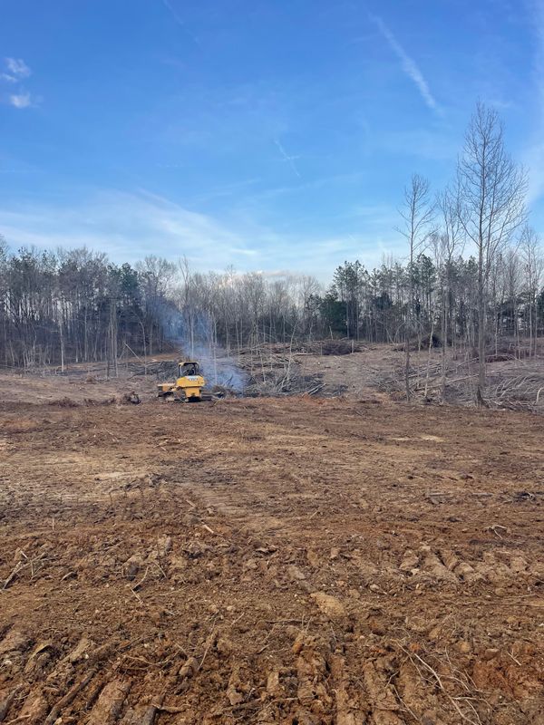 Forestry Mulching