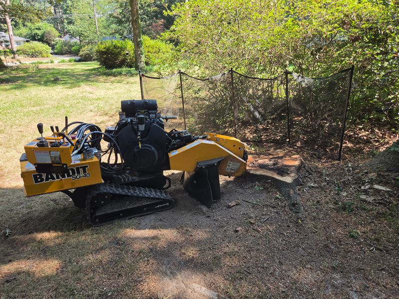 Stump Grinding