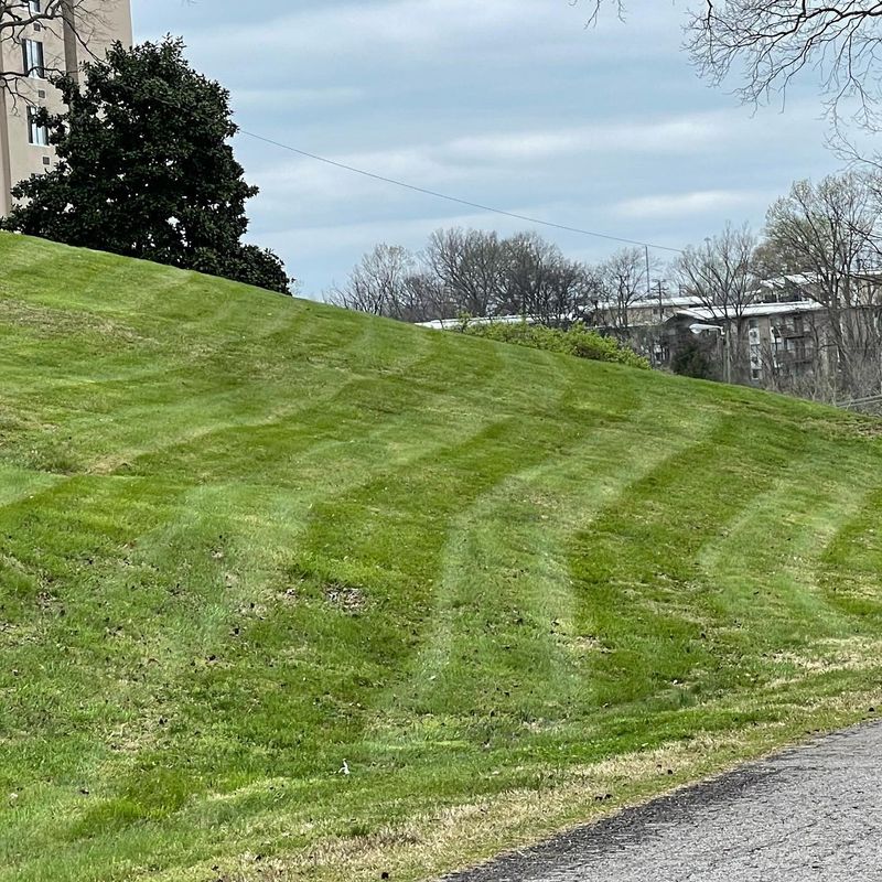 Mowing