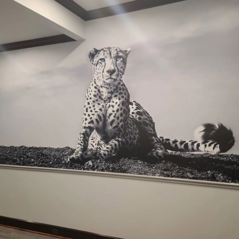 Digital Murals