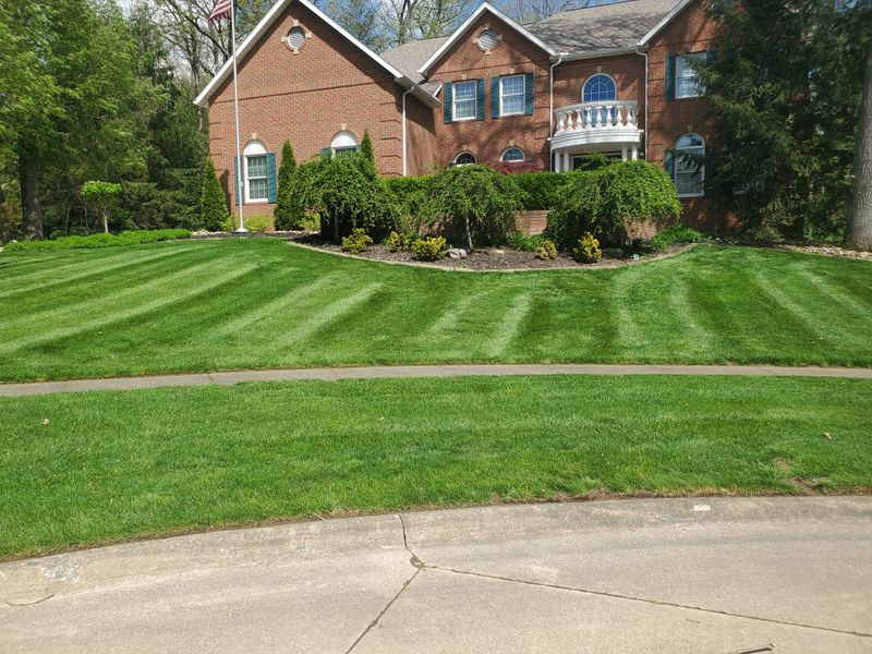 Lawn Mowing