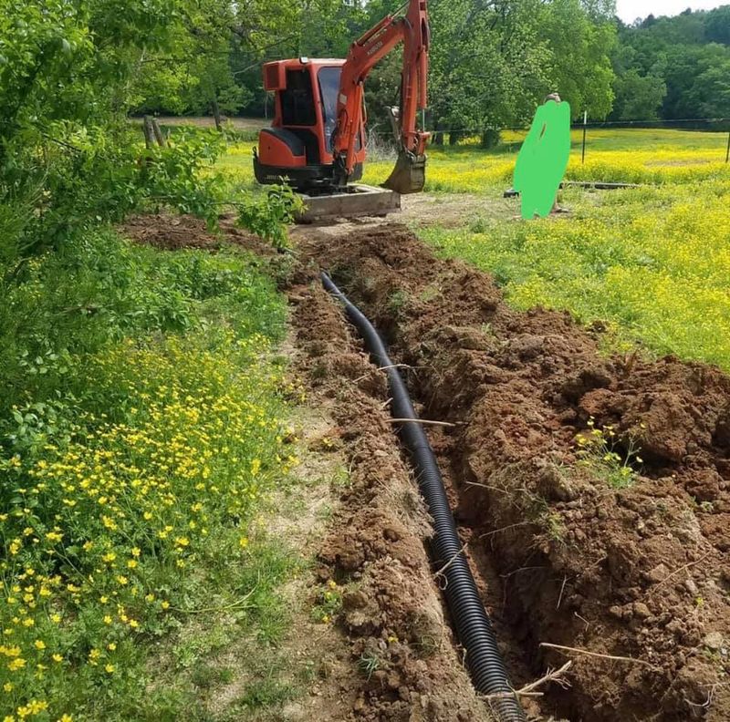 Land Clearing gallery