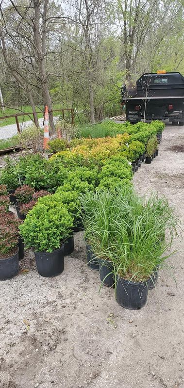 landscaping