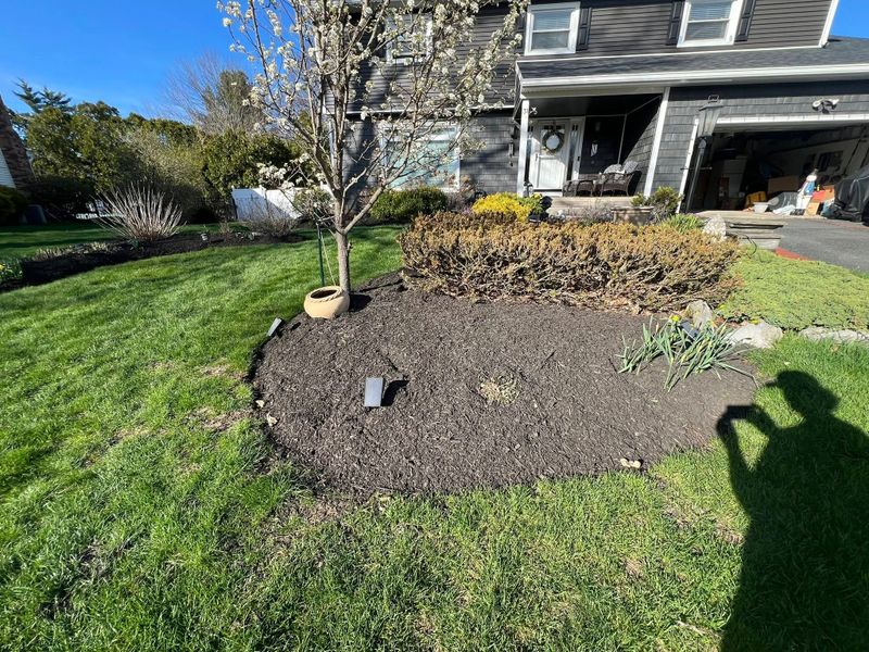 Fall / Spring Cleanups