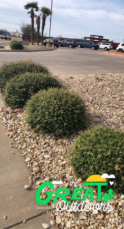 Mulch Installation
