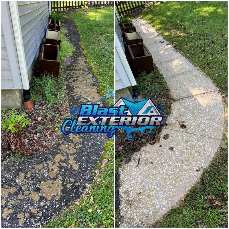 Driveway and Sidewalk Cleaning
