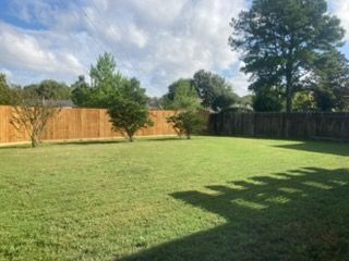 Lawn Mowing