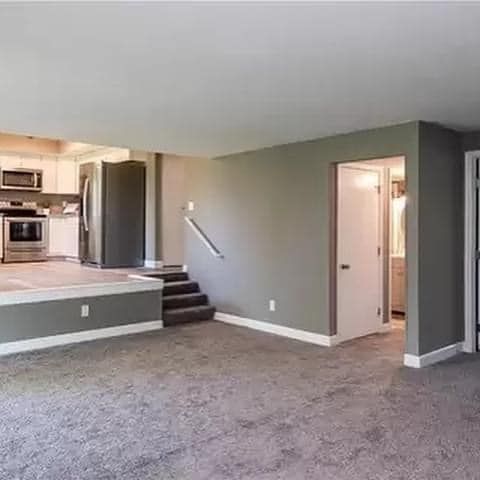 Kitchen Renovation