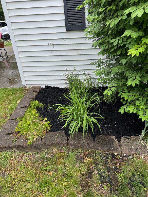 Mulching