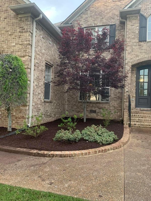 Shrub Trimming