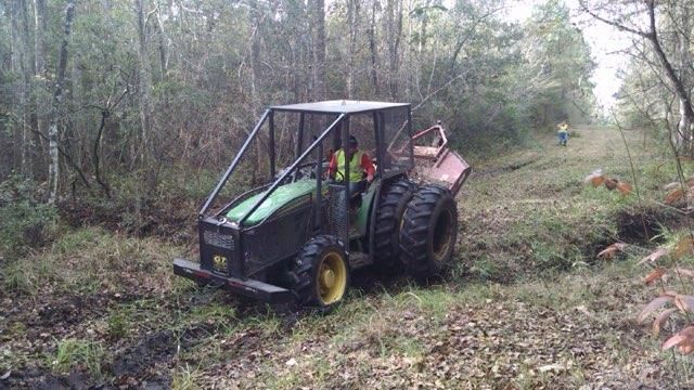 Heavy Forestry Mowing