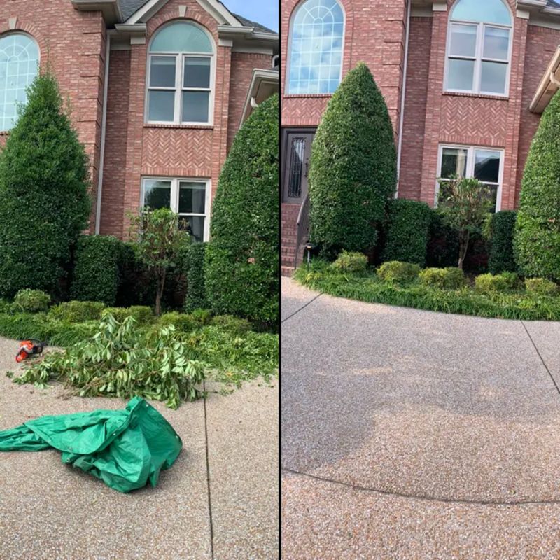Fall Clean Up