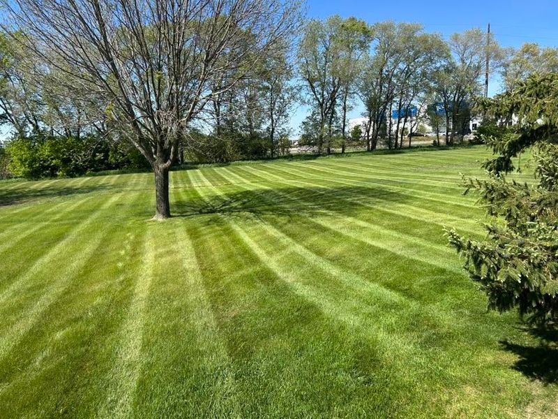 Lawn Maintenance