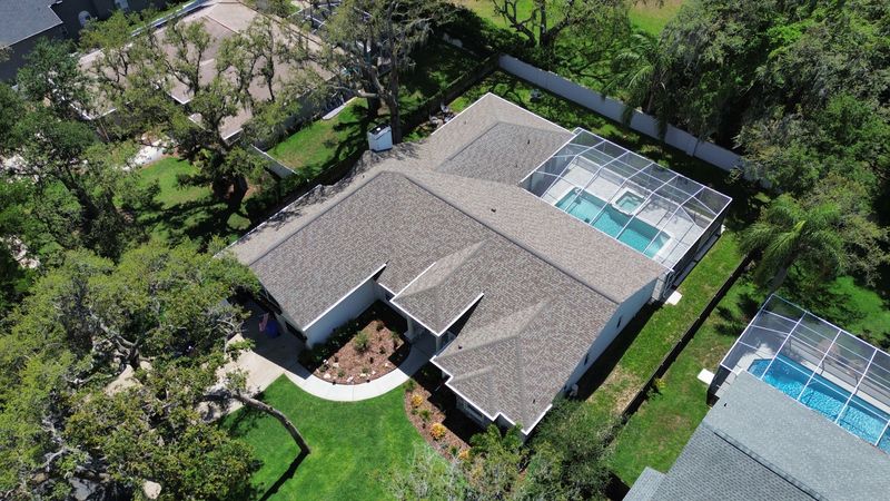Roof Cleaning