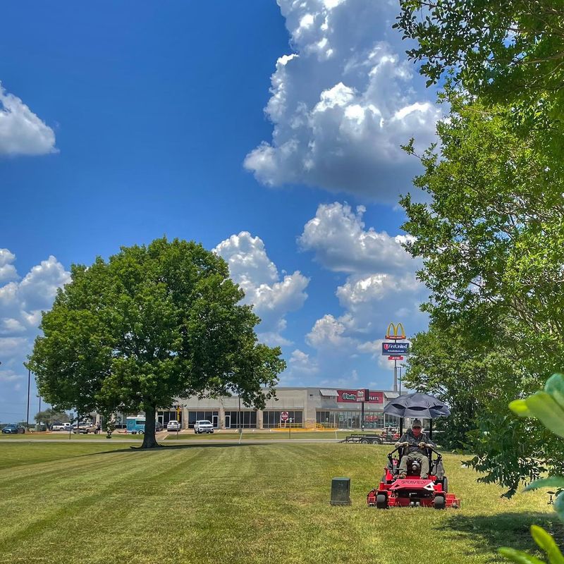 Lawn Care