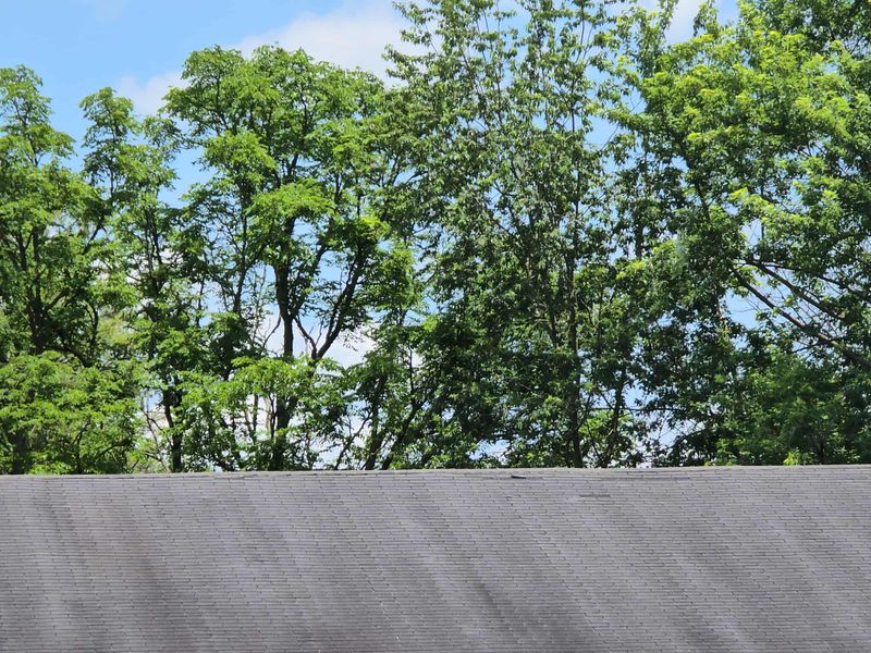 Roofing Replacement
