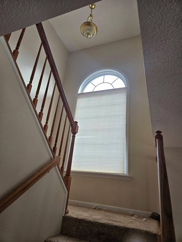 Carpet Cleaning