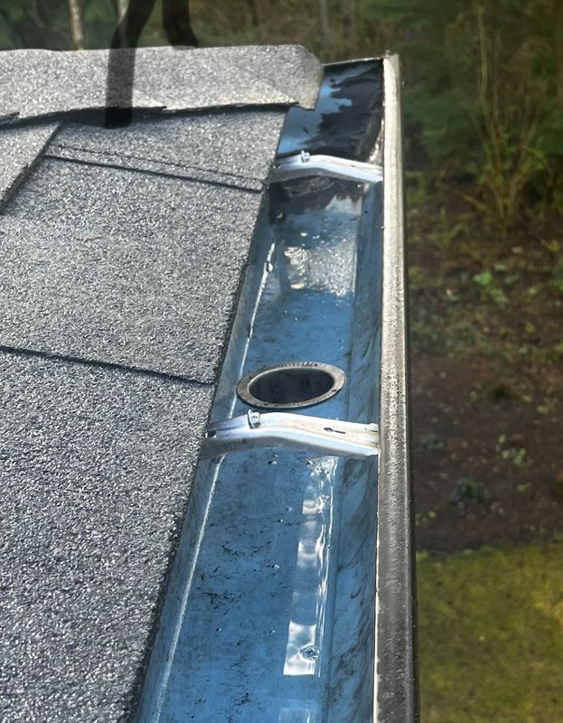 Gutter Cleaning