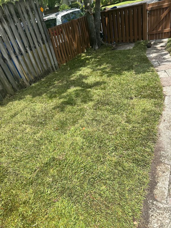 Transforming Small Spaces: A Rapid and Professional Landscaping Makeover by Gulf Bay Sod