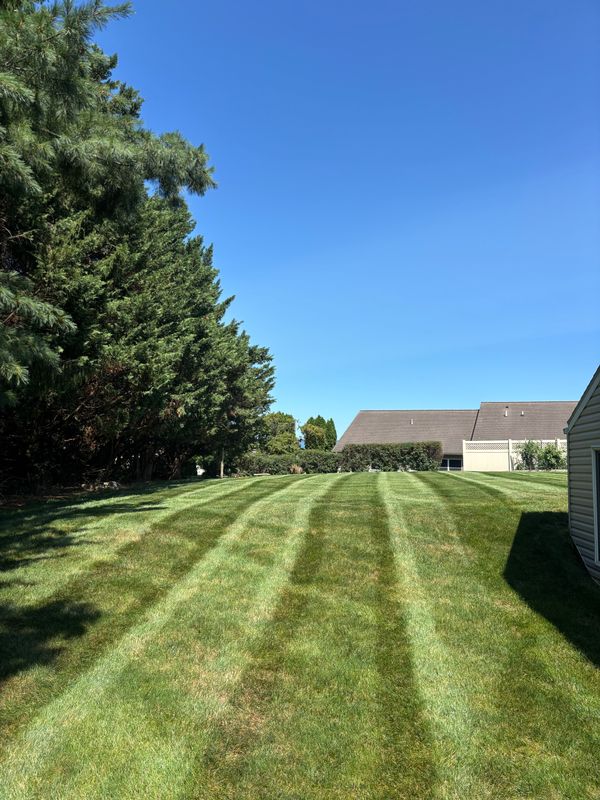 Lawn Mowing