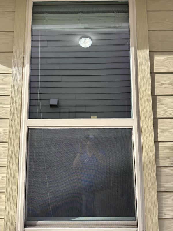 Window Cleaning 