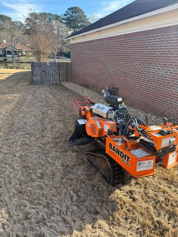 Stump Grinding gallery