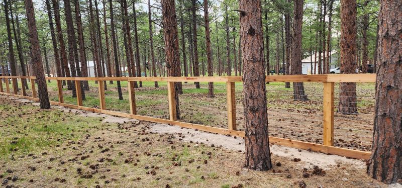 Fence Maintenance