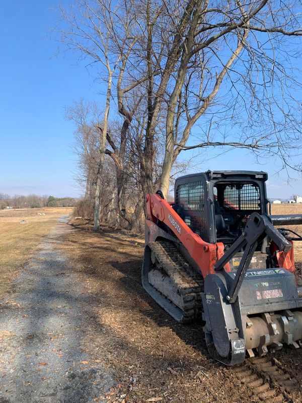 Land Clearing