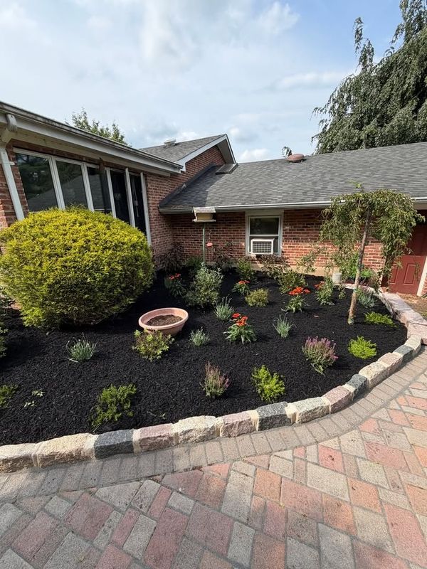 Tree & Perennial Planting