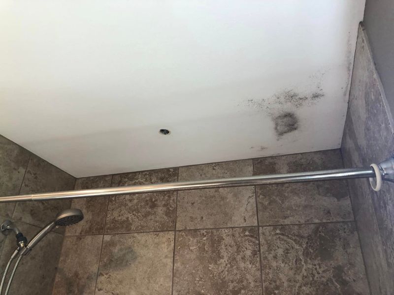 Interior Renovations