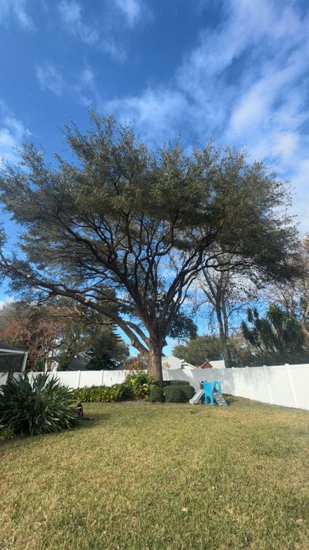 Lawn & Garden Services
