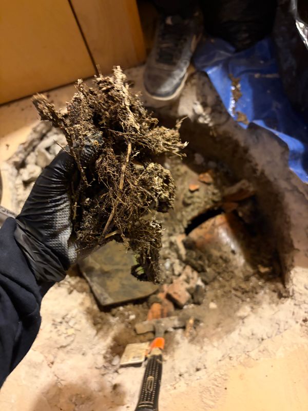 Leak Detection and Repair