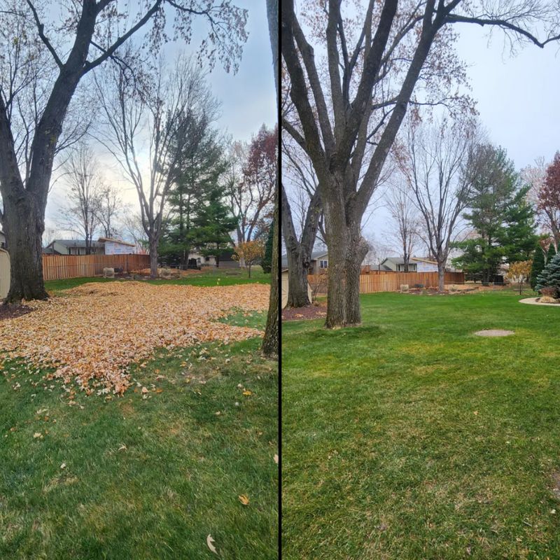 Landscape Design