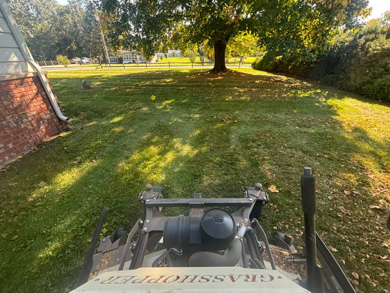 Fall Clean Up