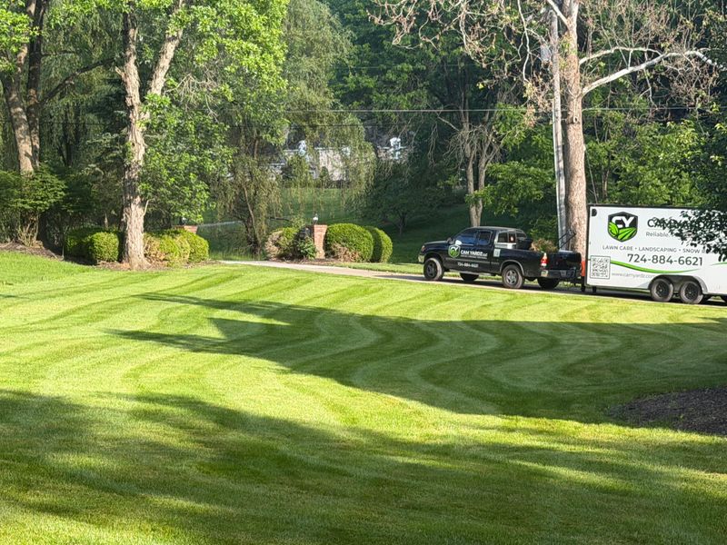 Commercial Lawn Maintenance