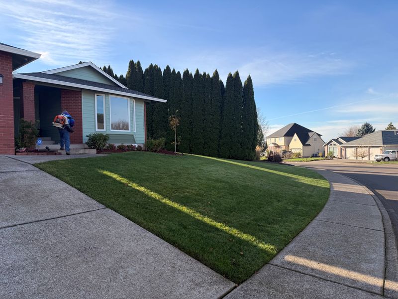 Shrub Trimming