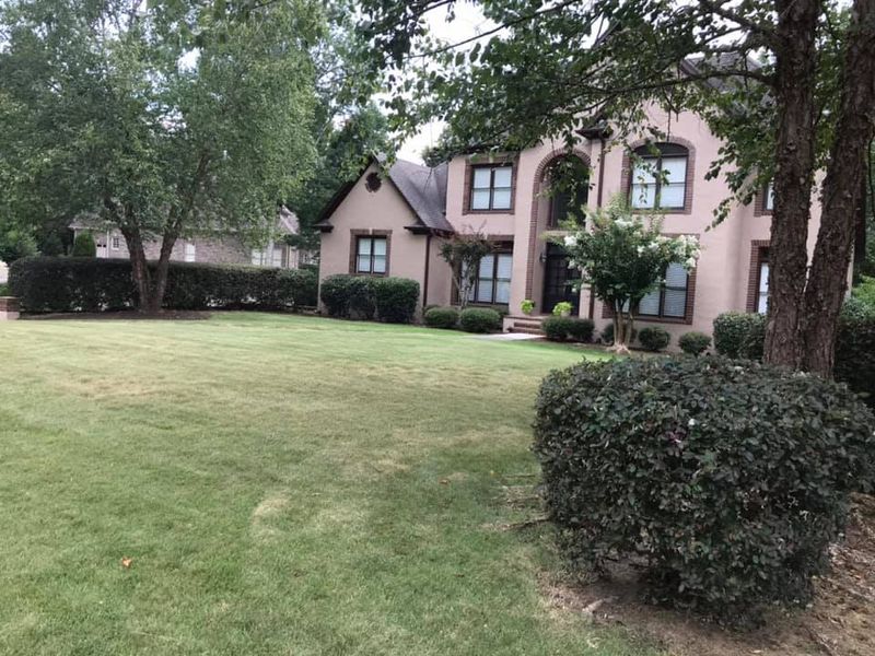 Tree & Shrub Care