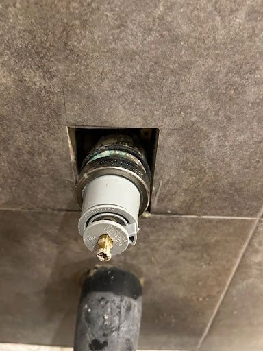 Shower Installation & Repair
