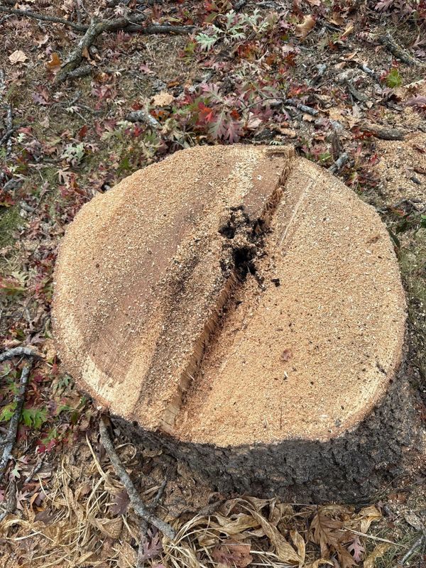 Tree Removal