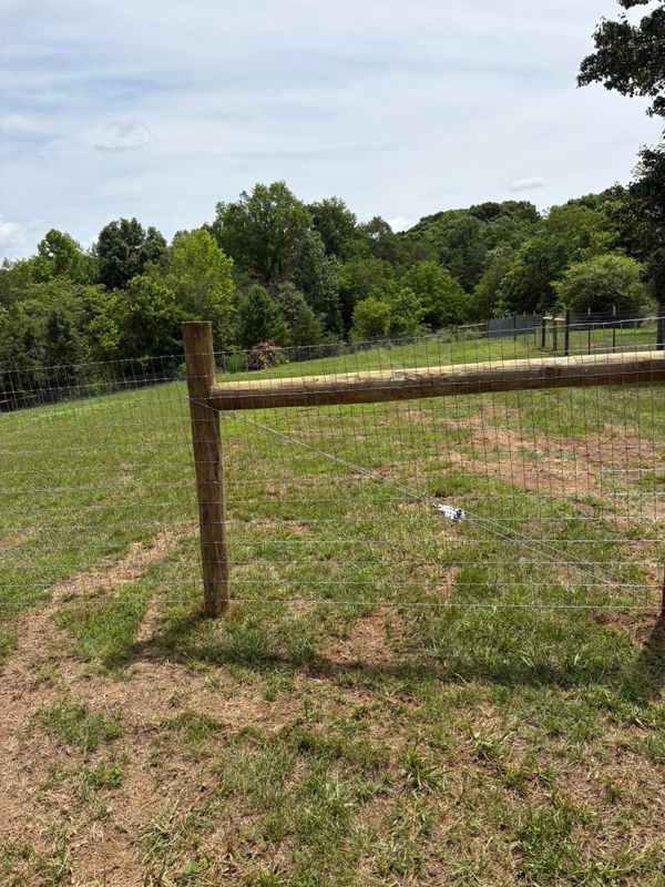 Fence Installation