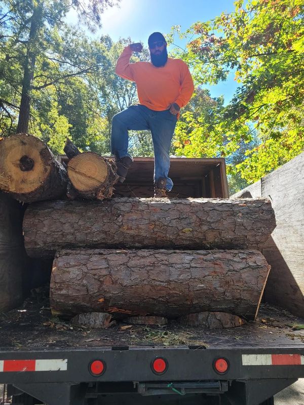 Tree Removal