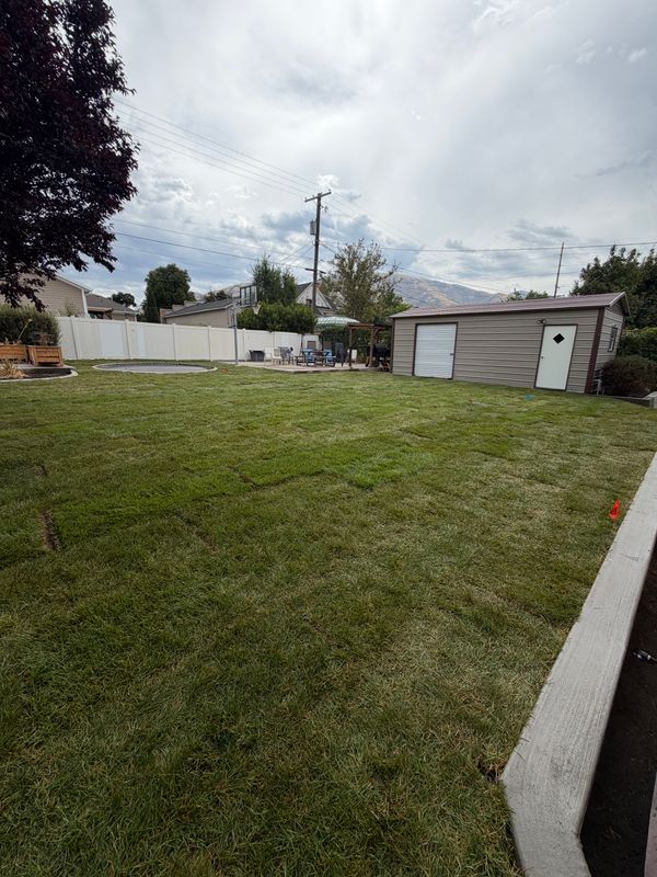 Fresh Sod and Lawn Renovation After a House Addition