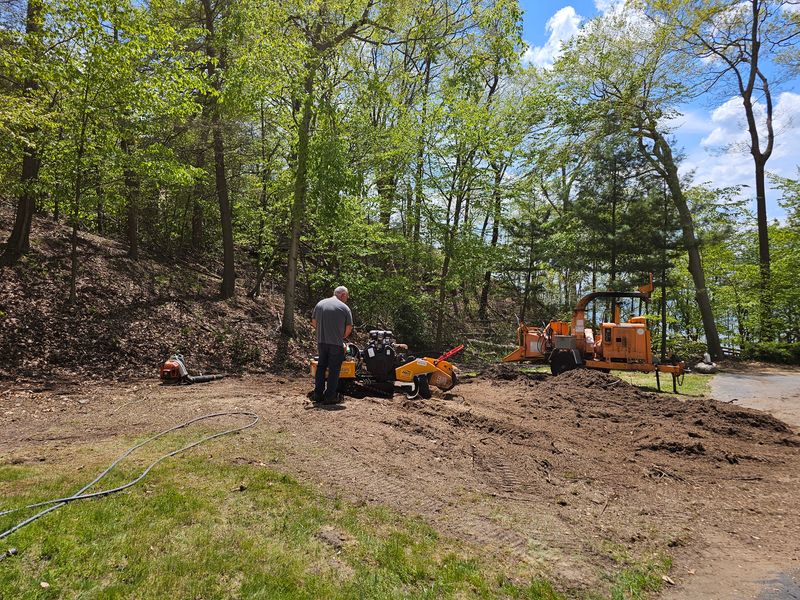 Stump Removal