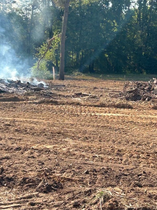 Land Clearing