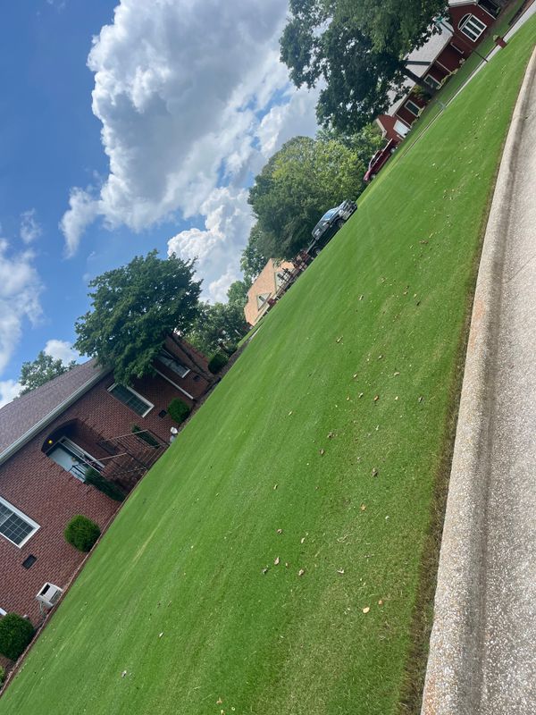 Lawn Maintenance